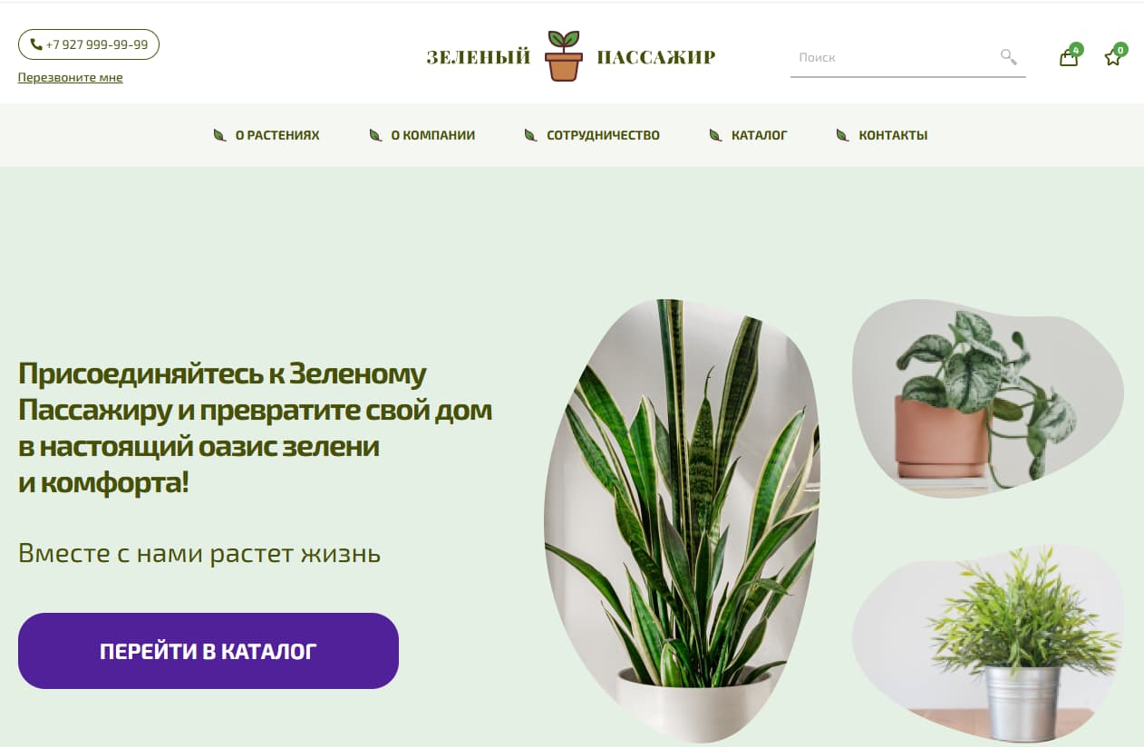 Скриншот главной страницы сайта